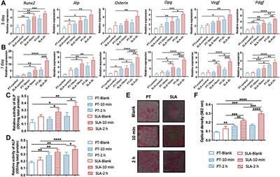 Titanium surface interacting with blood clot enhanced migration and osteogenic differentiation of bone marrow mesenchymal stem cells